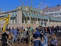 Boomplantdag Dordrecht