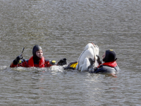 25032022-Touw-om-zwaan-heen-in-water-Plutolaan-Dordrecht-Stolkfotografie-001