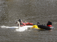 Touw om zwaan heen in water Plutolaan Dordrecht