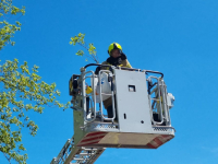 15062022-Brandweer-bevrijdt-vastzittende-vogel-uit-boom-Balkengat-Zwijndrecht-Stolkfotografie-002