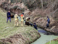 26012023-Brandweer-redt-schapen-uit-sloot-Zeedijk-Dordrecht-Stolkfotografie-001