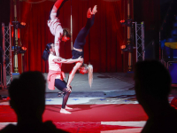Voorbereidingen en laatste repetities Circus Royal in volle gang Dordrecht