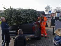 Damplein vol kerstbomen