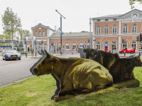 Volg de Dieren richting het Dordrecht Museum Dordrecht