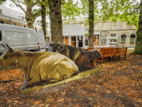 Volg de Dieren richting het Dordrecht Museum Dordrecht