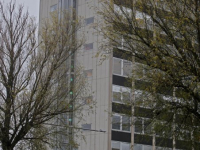 Gemeentevlag rood-wit-rode op drie gemeentelijke gebouwen Dordrecht