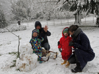 Sneeuwoverlast in Park Merwestein Dordrecht