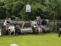 Duurzaamheidscentrum Weizigt weer open voor publiek