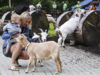 Duurzaamheidscentrum Weizigt weer open voor publiek