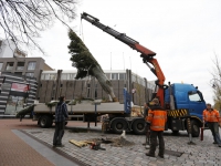 20150212-Kerstbomen-geplaatst-Bagijnhof-in-Dordrecht-Tstolk-002