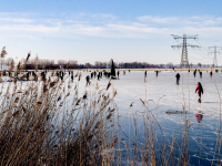 Schaatsen bij de vernieuwde Biesbosch Dordrecht