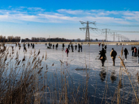 Schaatsen bij de vernieuwde Biesbosch Dordrecht