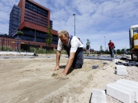 20151506-Uitbreiding-parkeerterrein-Laan-van-Europa-Dordrecht-Tstolk-001_resize