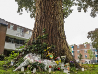 Familie en vrienden leggen bloemen bij boom in Stadspolders Dordrecht