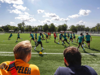 Met ingang van vandaag start FC Dordrecht officieel een hernieuwde samenwerking met Feyenoord.