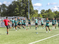 Met ingang van vandaag start FC Dordrecht officieel een hernieuwde samenwerking met Feyenoord.