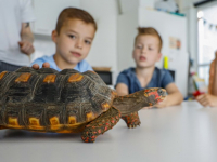 40 jarig bestaan De Griffioen Rudyard Kiplingerf  Dordrecht