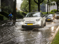 Burgemeester de raadsingel onder water Dordrecht