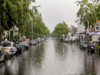 Wateroverlast Reeweg Oost Dordrecht