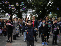 Feestelijke opening Kindercampus De Albatros Wielwijk Dordrecht