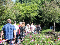 Onthulling gedenkmonument Munnikensteeg Zwijndrecht