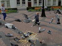 20172205 Geen duiven voeren op Vrieseplein Dordrecht Tstolk 001