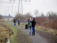 Pestvogel gevlogen Louisapolder Dordte Biesbosch Dordrecht