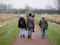 Pestvogel gevlogen Louisapolder Dordte Biesbosch Dordrecht