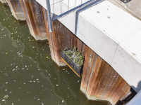 Getijdenbakken geplaatst op Stadswerven Dordrecht