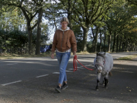 Gezellig aan de wandel Provincialeweg Dordrecht