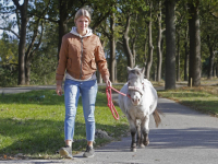 Gezellig aan de wandel Provincialeweg Dordrecht