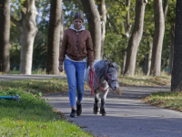 Gezellig aan de wandel Provincialeweg Dordrecht