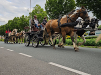 Rondtoer met paard en wagen door de binnenstad Dordrecht