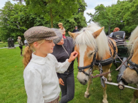 Rondtoer met paard en wagen door de binnenstad Dordrecht