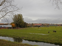 20161811 Geen villawijk met golfbaan en Dordtse Polders Zuidpolder Dordrecht Tstolk