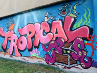 Ruim 600 vierkante meter met graffiti tunnel Laan dv Naties Dordrecht
