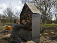 20172103 Insectenhotel langs de Brugweg Zwijndrecht Tstolk 001