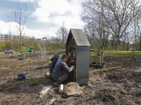 20172103 Insectenhotel langs de Brugweg Zwijndrecht Tstolk 003