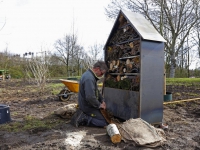 20172103 Insectenhotel langs de Brugweg Zwijndrecht Tstolk