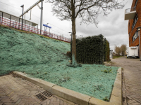 Groene substantie roept vragen op station Stadspolders Dordrecht