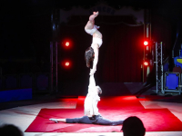 Eerste voorstelling Circus Royal benefietvoorstelling voor Oekraïne Plein van Europa Dordrecht