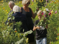 Bloemen plukken Provincialeweg Dordrecht