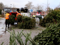 Kerstbomen inzamelen Damplein Dordrecht