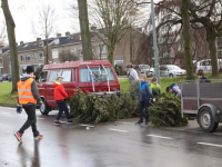 Grote stapel kerstbomen op het Damplein