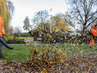 Gemeente handenvol aan vallende bladeren Dordrecht