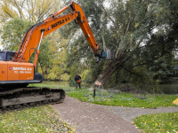 Herinrichting Wielwijkpark Dordrecht