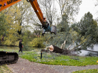 Herinrichting Wielwijkpark Dordrecht