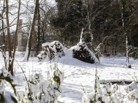 Merwesteinpark in de sneeuw Dordrecht