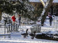 Merwesteinpark in de sneeuw Dordrecht