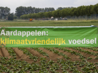 Aardappelen klimaatvriendendelijk Voedsel vernieuwde Biesbosch Dordrecht